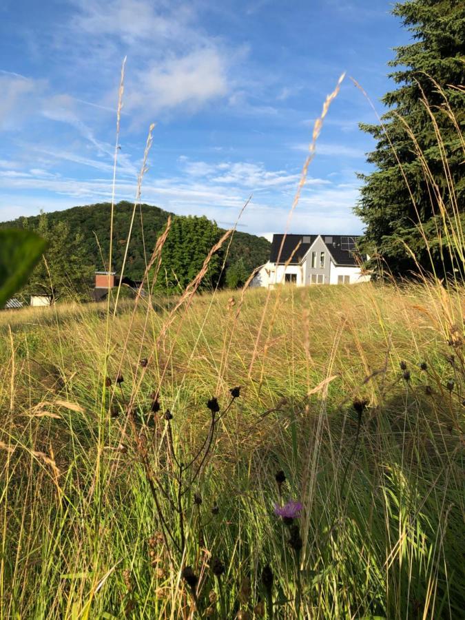Apartment Montabaur Heiligenroth מראה חיצוני תמונה